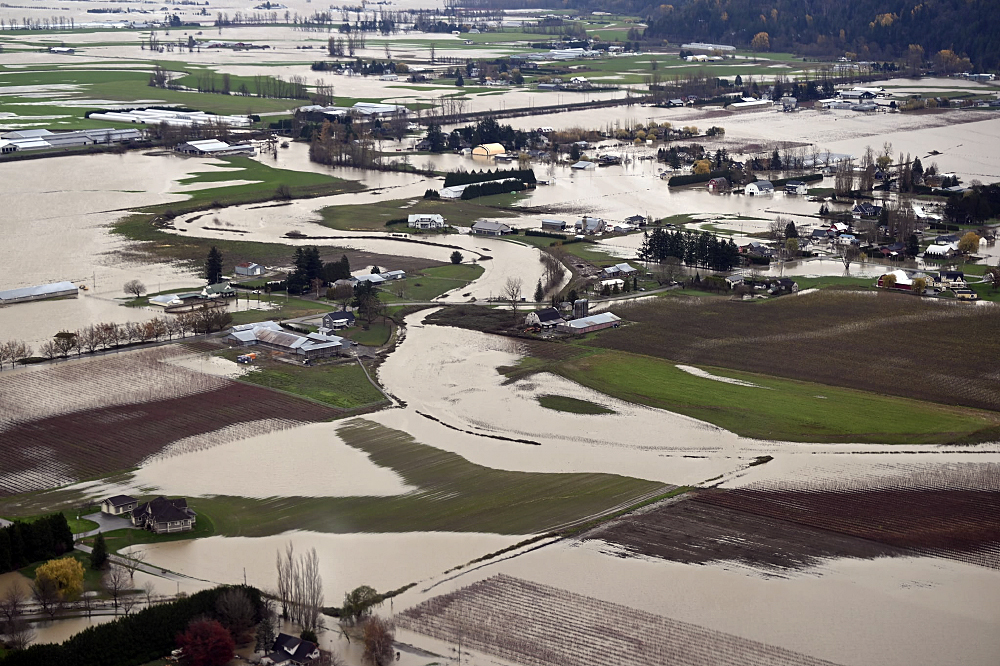 SLC - Abbotsford Pd 259141703 6678692235481840 8605633432750080342 N