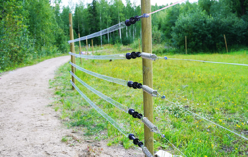 SLC - Rovdjursstangsel Webben