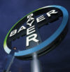 Bayer Cross 1