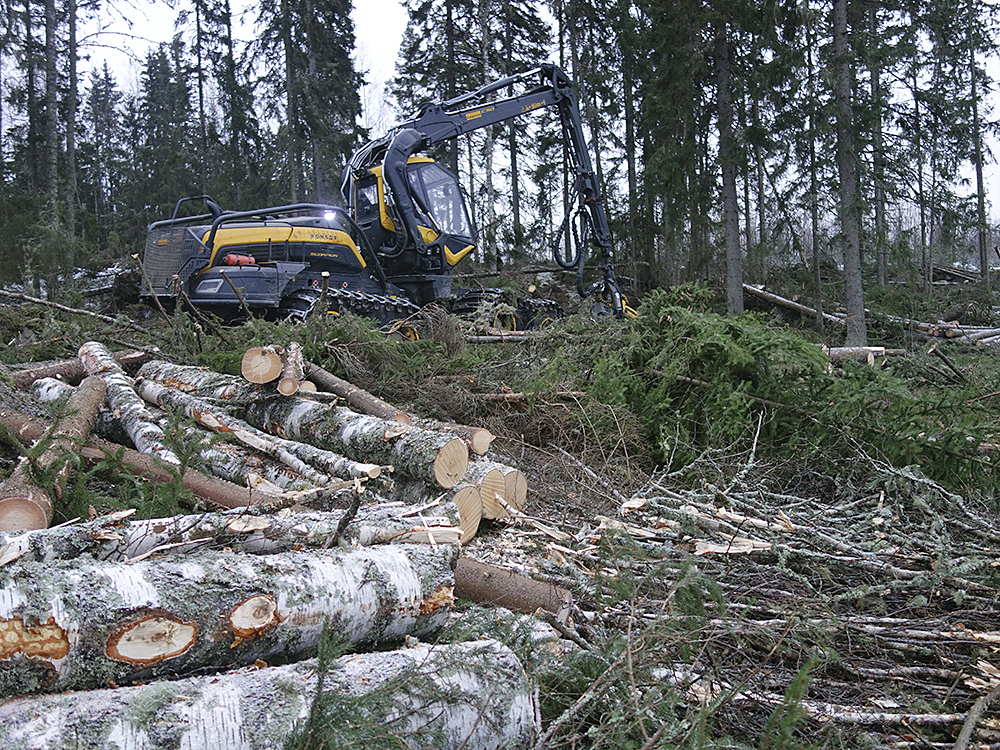 SLC - Avverkning Drivningslaget 3