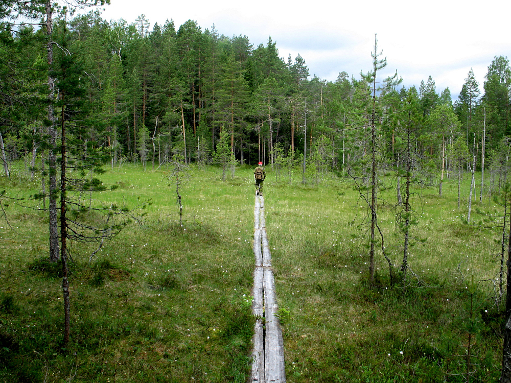 SLC - Kuviasuomesta Fi Roine Piirainen