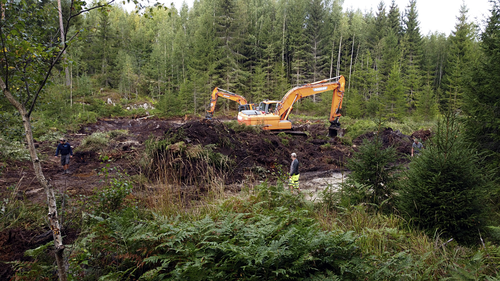 SLC - Metsalahde Langtrask C Meri Ensio Wwf